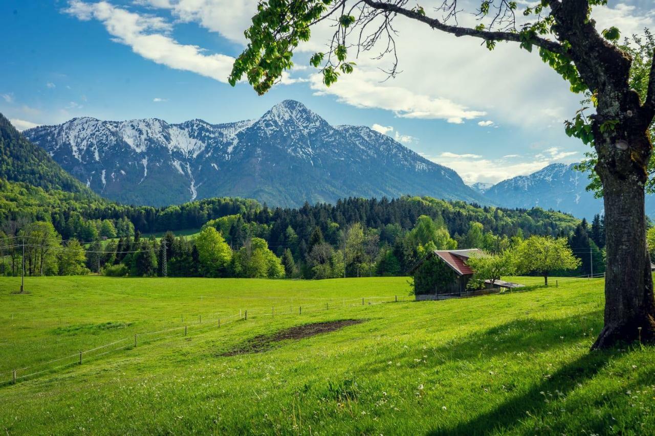 Ferienwohnung Grundlsee, Willkommen In Mami'S Ferienwohnung 外观 照片